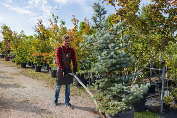 Best Leaf Removal  in Bellevue, IA