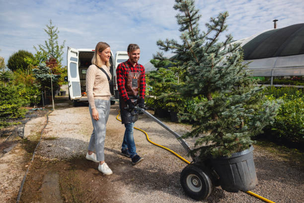 Best Tree Preservation Services  in Bellevue, IA